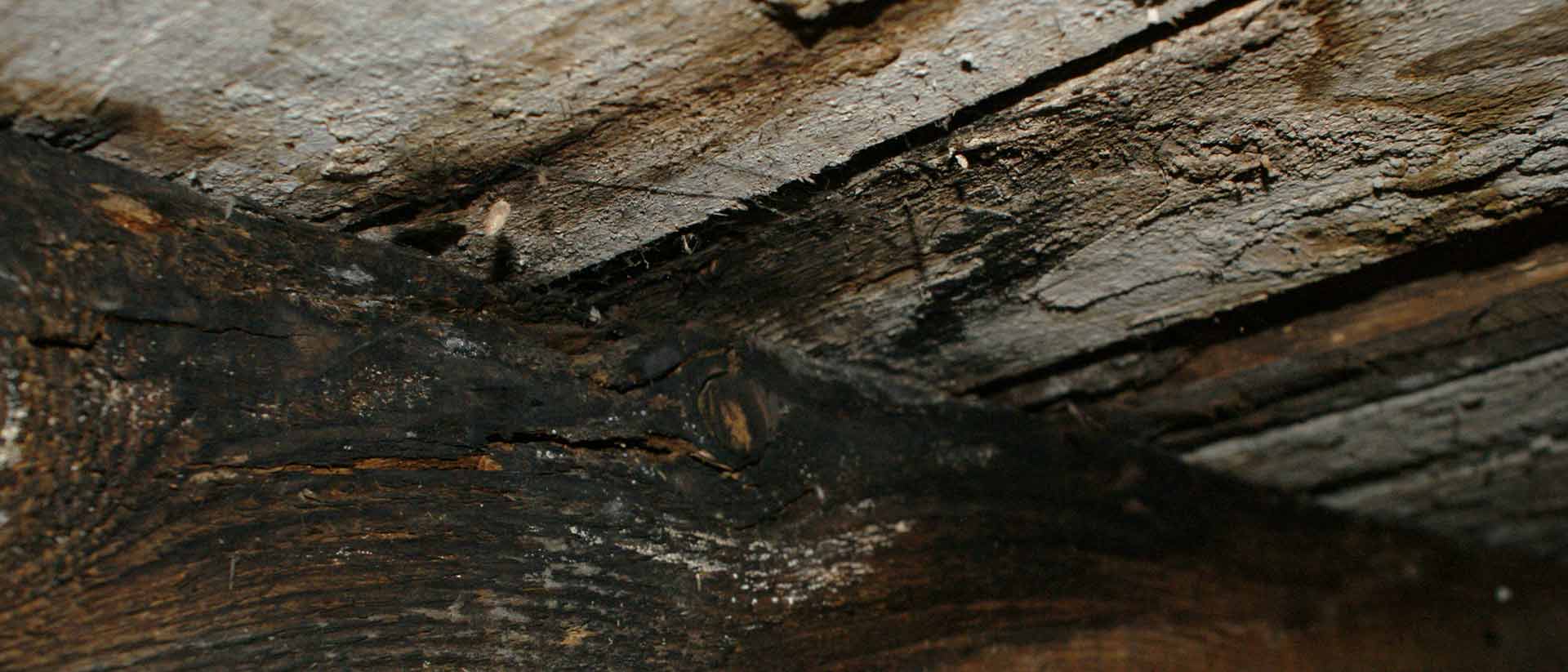 Leaky roof and rotten wooden rafters.