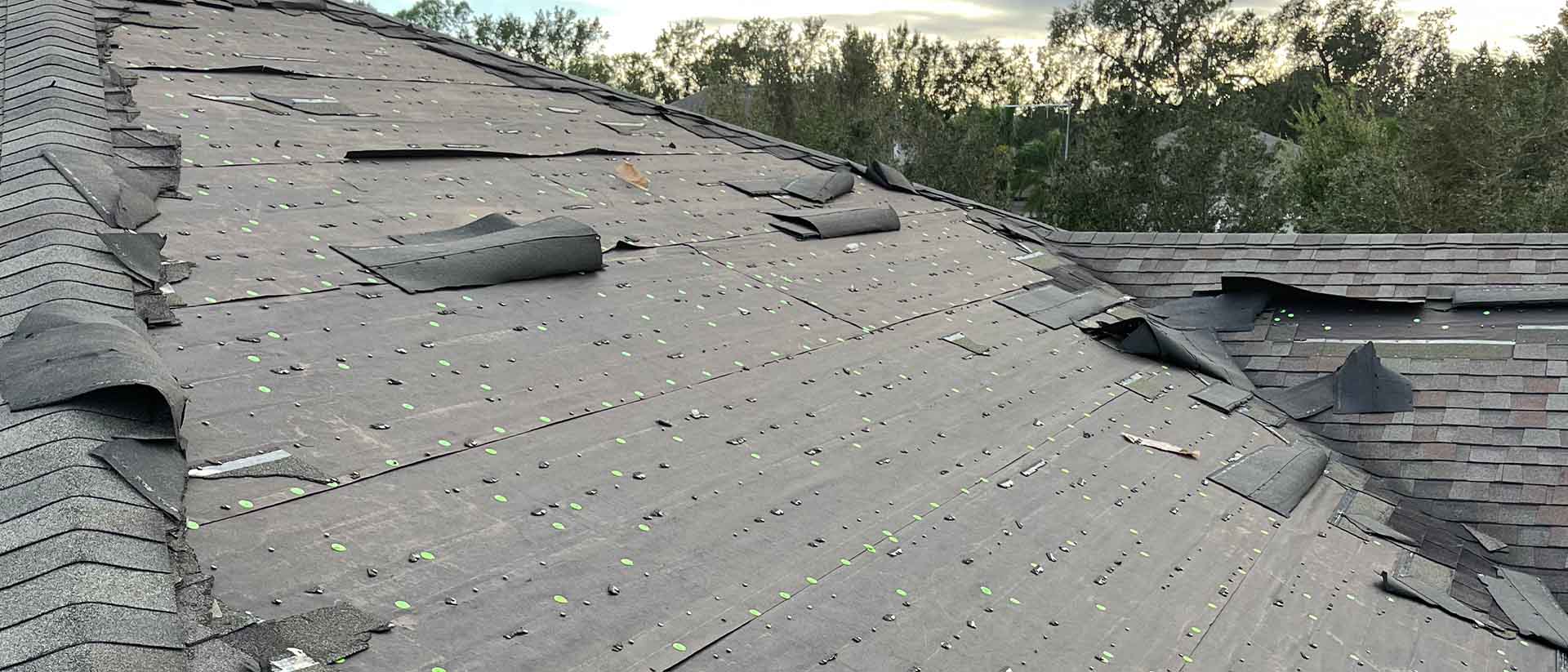 Roof shingles blown off from high winds.